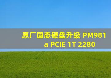 原厂固态硬盘升级 PM981a PCIE 1T 2280